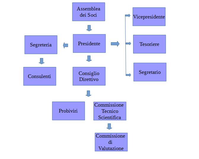 organigramma