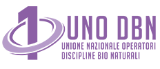 UNO DBN